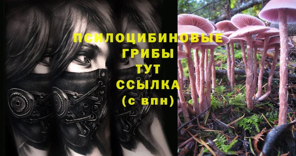 ешки Елабуга