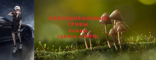 бошки Елизово