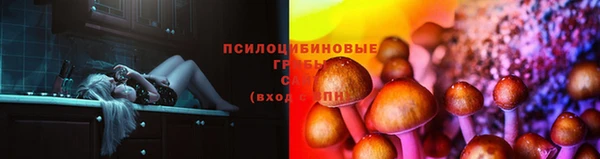 ешки Елабуга
