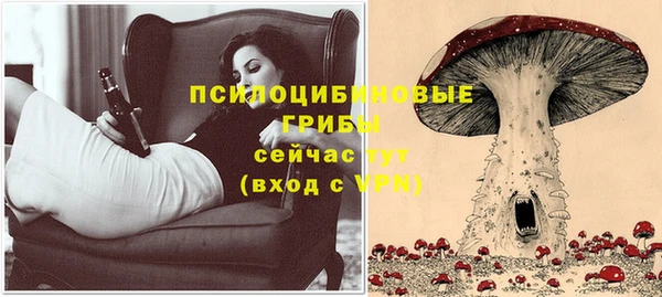 MDMA Ельня